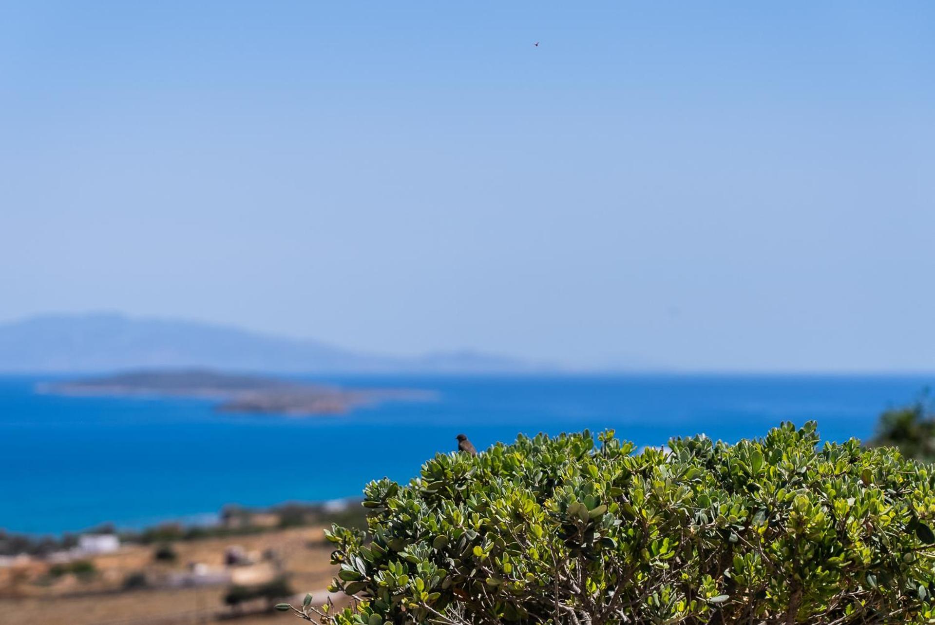Lagadia Village Antiparos Exterior photo